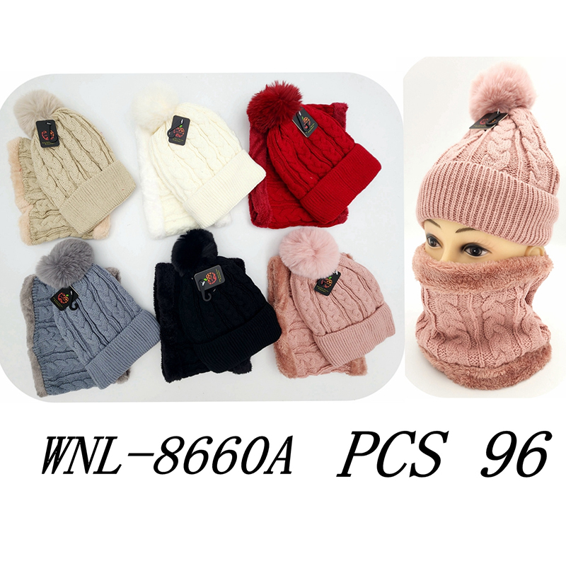 WNL-8660A CS96